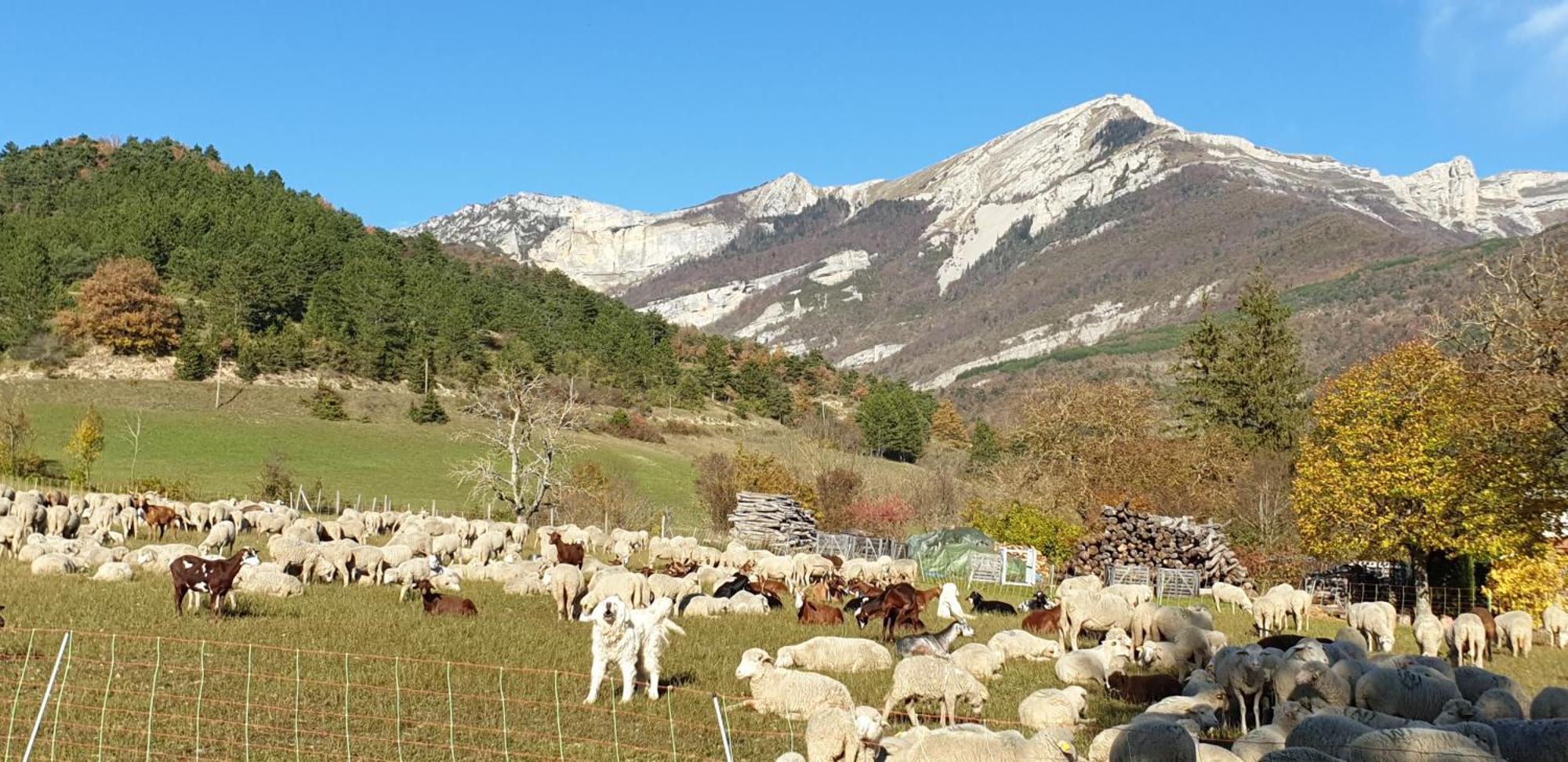 Maison De Village Aux Portes Du Vercors Chamaloc المظهر الخارجي الصورة